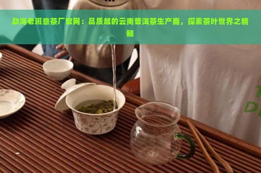 勐海老班章茶厂官网：品质越的云南普洱茶生产商，探索茶叶世界之精髓