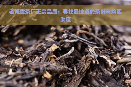 老班章茶厂正宗品质：寻找最地道的茶叶与购买渠道