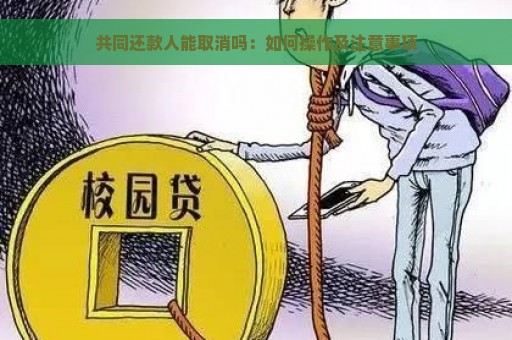 共同还款人能取消吗：如何操作及注意事项