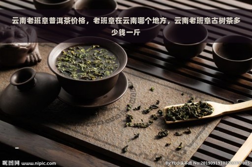 云南老班章普洱茶价格，老班章在云南哪个地方，云南老班章古树茶多少钱一斤