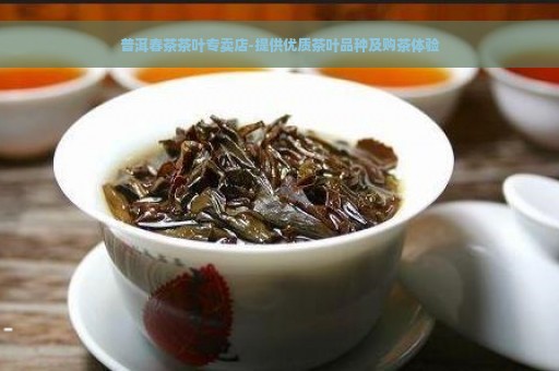 普洱春茶茶叶专卖店-提供优质茶叶品种及购茶体验