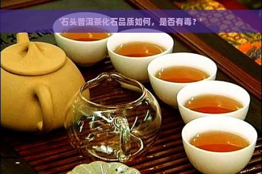 '石头普洱茶化石品质如何，是否有毒？'