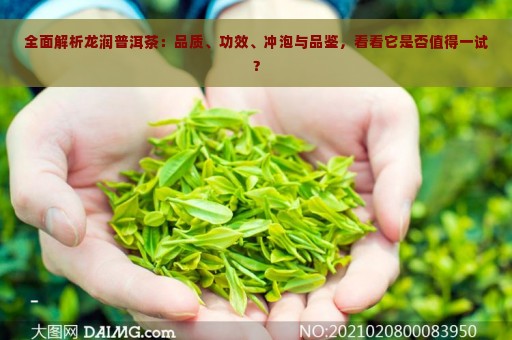 全面解析龙润普洱茶：品质、功效、冲泡与品鉴，看看它是否值得一试？