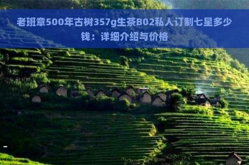 老班章500年古树357g生茶B02私人订制七星多少钱：详细介绍与价格