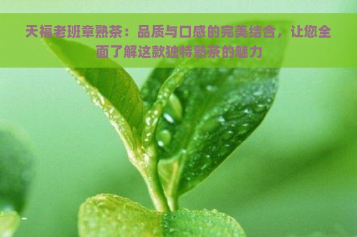 天福老班章熟茶：品质与口感的完美结合，让您全面了解这款独特熟茶的魅力