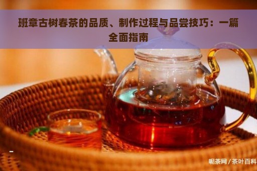 班章古树春茶的品质、制作过程与品尝技巧：一篇全面指南