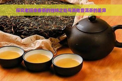 探究老班章春茶的独特之处与其他普洱茶的差异