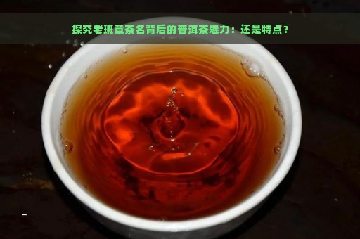 探究老班章茶名背后的普洱茶魅力：还是特点？