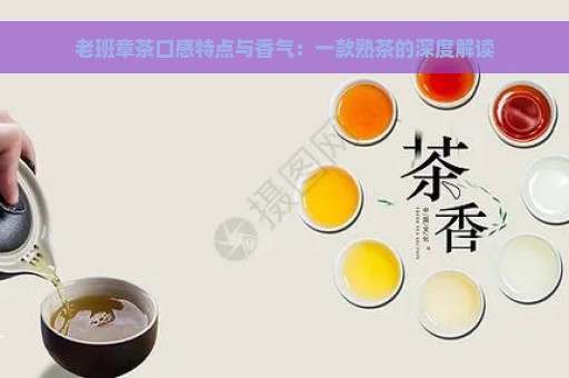 老班章茶口感特点与香气：一款熟茶的深度解读