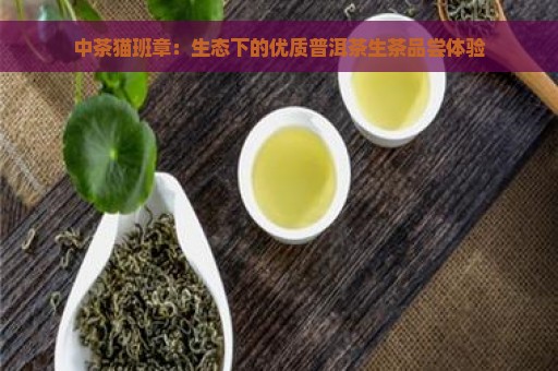 中茶猫班章：生态下的优质普洱茶生茶品尝体验