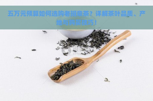 五万元预算如何选购老班章茶？详解茶叶品质、产地与购买技巧！