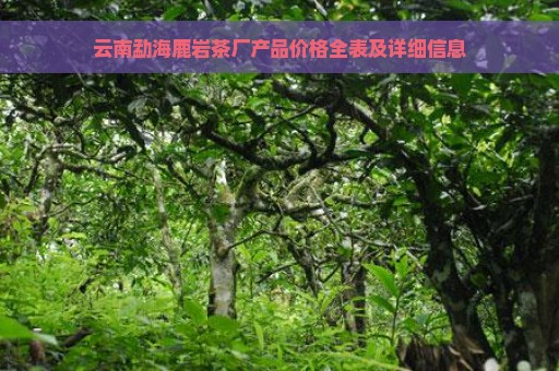 云南勐海鹿岩茶厂产品价格全表及详细信息