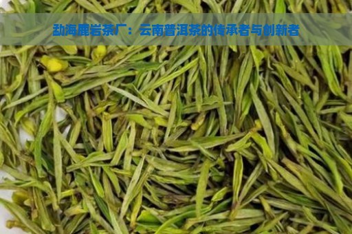 勐海鹿岩茶厂：云南普洱茶的传承者与创新者