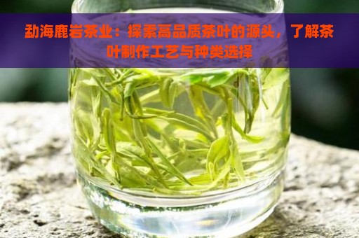 勐海鹿岩茶业：探索高品质茶叶的源头，了解茶叶制作工艺与种类选择