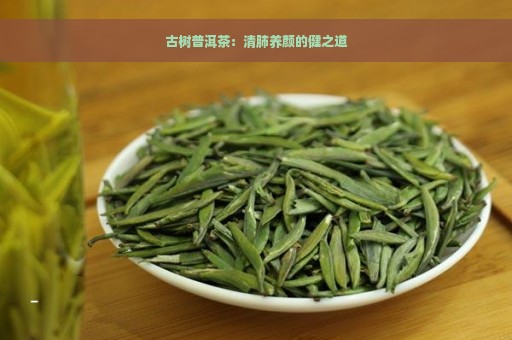 古树普洱茶：清肺养颜的健之道