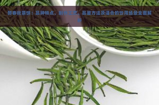 醉春秋茶饼：品种特点、制作工艺、品鉴方法及适合的饮用场景全面解析