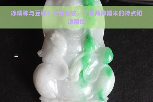 冰糯种与豆种：全面比较，了解两种糯米的特点和适用性