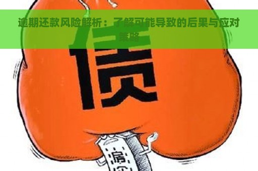 逾期还款风险解析：了解可能导致的后果与应对策略