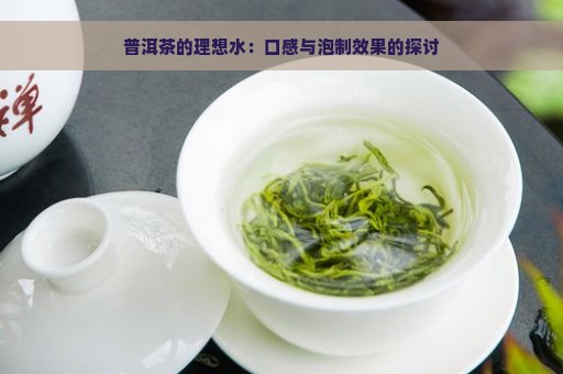 普洱茶的理想水：口感与泡制效果的探讨