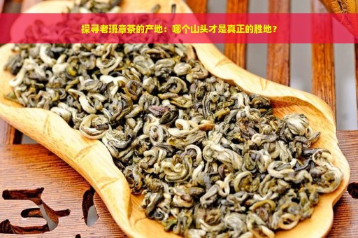 探寻老班章茶的产地：哪个山头才是真正的胜地？