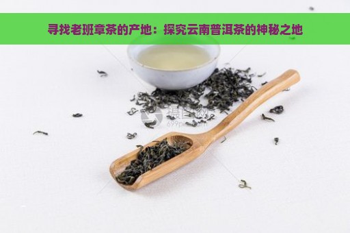 寻找老班章茶的产地：探究云南普洱茶的神秘之地