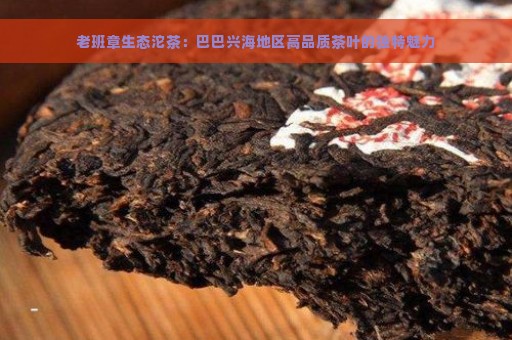 老班章生态沱茶：巴巴兴海地区高品质茶叶的独特魅力