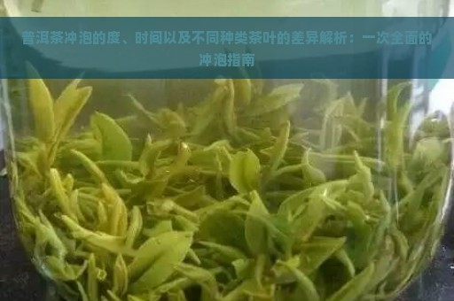 普洱茶冲泡的度、时间以及不同种类茶叶的差异解析：一次全面的冲泡指南