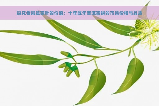 探究老班章茶叶的价值：十年陈年普洱茶饼的市场价格与品质