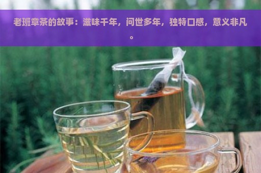 老班章茶的故事：滋味千年，问世多年，独特口感，意义非凡。