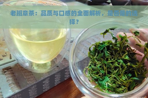 老班章茶：品质与口感的全面解析，是否是的选择？