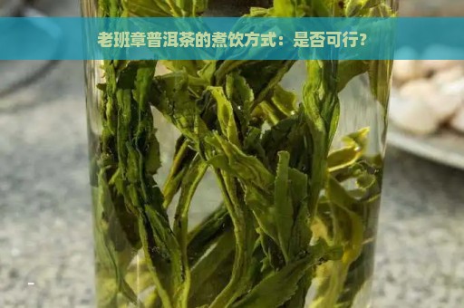 老班章普洱茶的煮饮方式：是否可行？