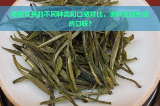 老班章茶的不同种类和口感对比，哪种更适合您的口味？