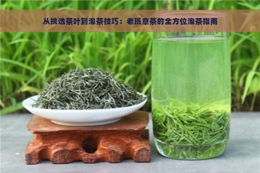 从挑选茶叶到泡茶技巧：老班章茶的全方位泡茶指南