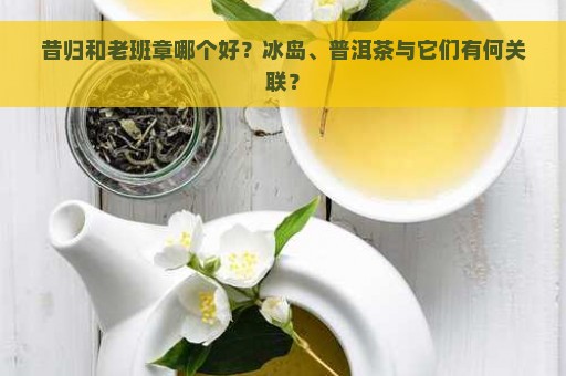 昔归和老班章哪个好？冰岛、普洱茶与它们有何关联？