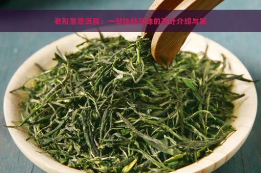 老班章普洱茶：一款独特风味的茶叶介绍与鉴