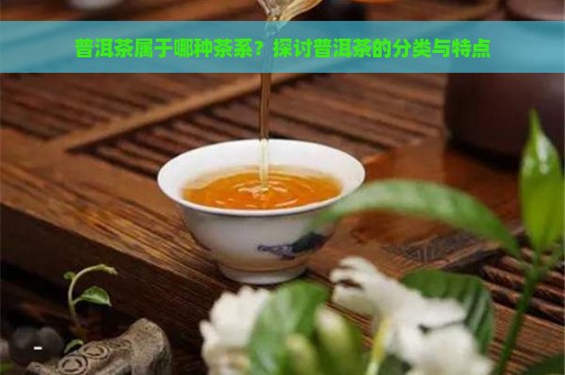 普洱茶属于哪种茶系？探讨普洱茶的分类与特点