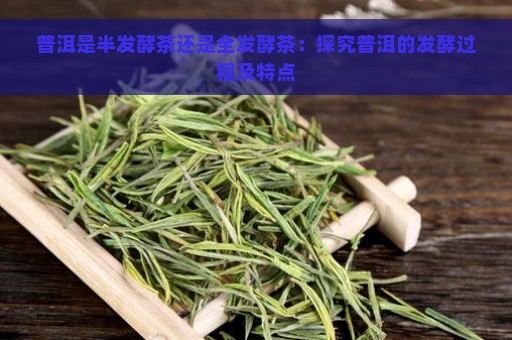 普洱是半发酵茶还是全发酵茶：探究普洱的发酵过程及特点