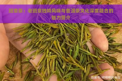 班章茶：老班章独特风味与普洱茶文化深度融合的魅力简介