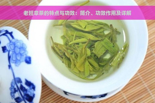 老班章茶的特点与功效：简介、功效作用及详解