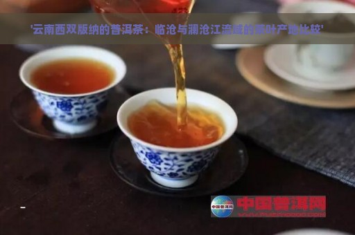 '云南西双版纳的普洱茶：临沧与澜沧江流域的茶叶产地比较'