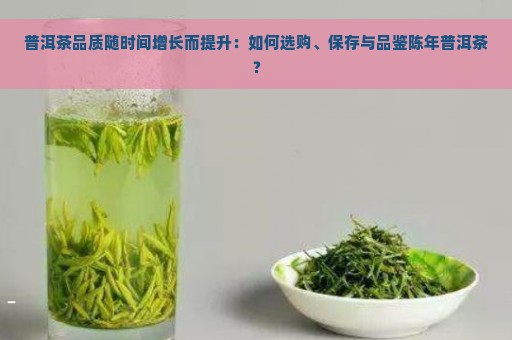 普洱茶品质随时间增长而提升：如何选购、保存与品鉴陈年普洱茶？