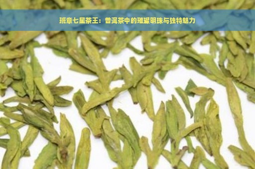 班章七星茶王：普洱茶中的璀璨明珠与独特魅力