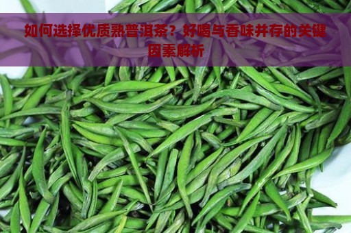 如何选择优质熟普洱茶？好喝与香味并存的关键因素解析