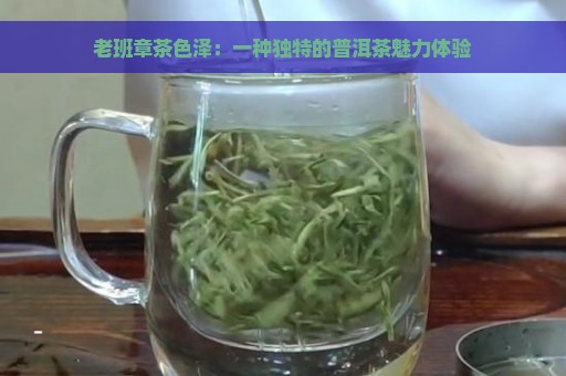 老班章茶色泽：一种独特的普洱茶魅力体验