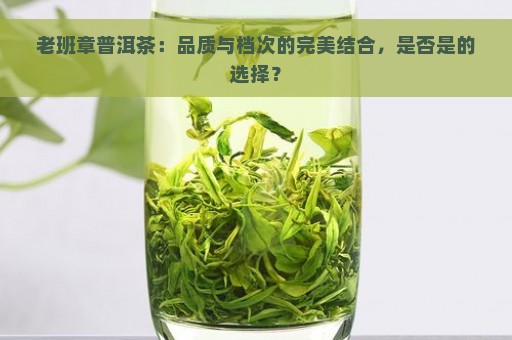 老班章普洱茶：品质与档次的完美结合，是否是的选择？