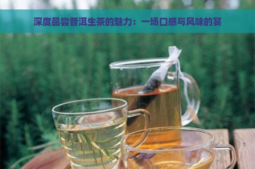 深度品尝普洱生茶的魅力：一场口感与风味的宴