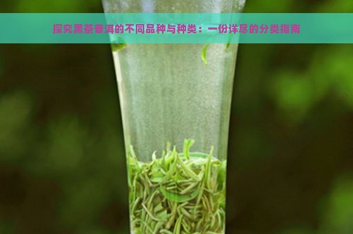 探究黑茶普洱的不同品种与种类：一份详尽的分类指南