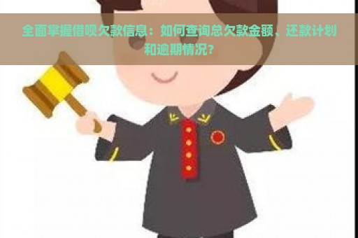 全面掌握借呗欠款信息：如何查询总欠款金额、还款计划和逾期情况？