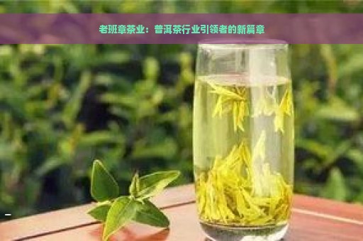 老班章茶业：普洱茶行业引领者的新篇章