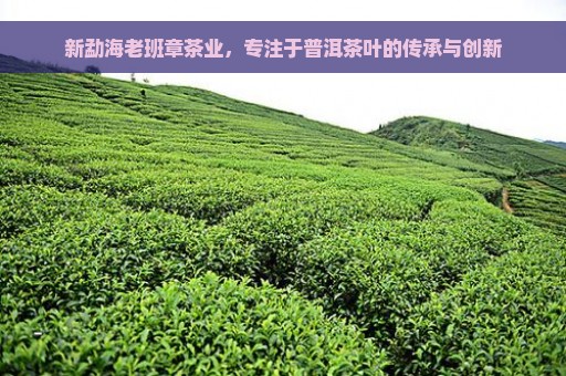 新勐海老班章茶业，专注于普洱茶叶的传承与创新